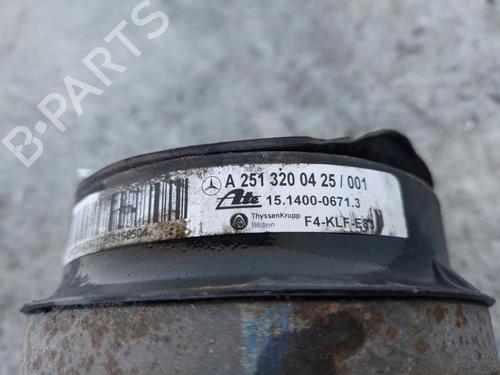 Left rear shock absorber MERCEDES-BENZ R-CLASS (W251, V251) R 350 CDI 4-matic (251.023, 251.123) | BP17203802M18 