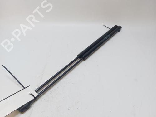 Ammortizzatore portellone posteriore LANCIA YPSILON (312_) 0.9 CNG (312.YXG1A) | BP30505820C138