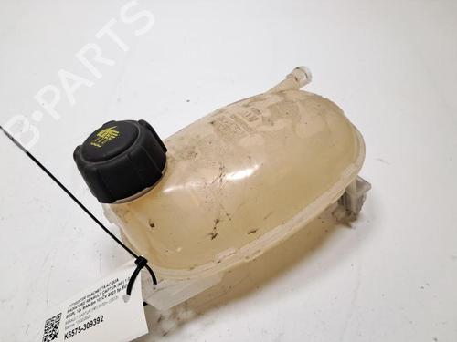 Ekspansjonstank RENAULT CAPTUR II (HF_) LPG (HFMT) (101 hp) 33195568