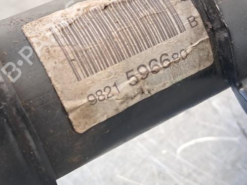 Left front shock absorber FIAT SCUDO Van 1.5 Multijet 120 (506) | BP36218101M16 - Image 5