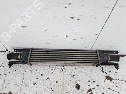 Used Intercooler Intercooler FIAT PUNTO EVO (199_) 1.3 D Multijet (95 hp) 34617823 34617823