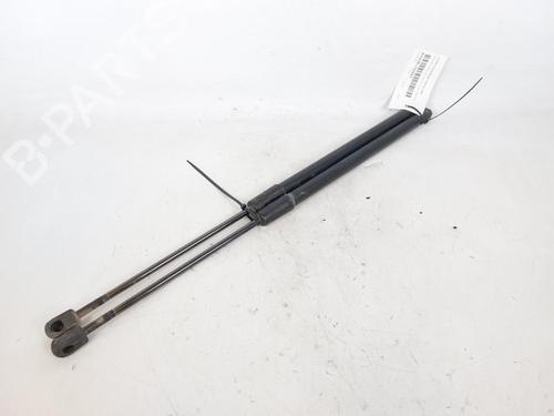 Tailgate lift support BMW 3 Touring (E91) 320 d | BP17975439C138 
