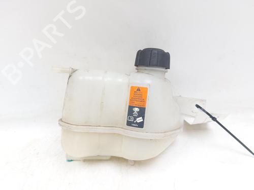 expansion-tank-nissan-qashqai-ii-j11-j11_-2013-29584000 main image