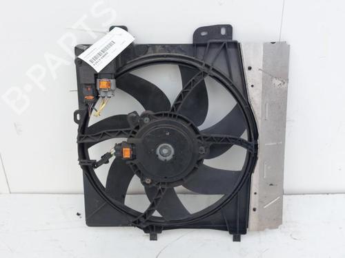 Used Radiator fan CITROËN C3 II (SC_) 1.4 LPG (95 hp) 15169582