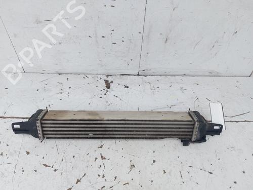 Intercooler FIAT FIORINO Box Body/MPV (225_) 1.3 D Multijet (225BXD1A, 225BXB1A, 225BXB11) | BP19445174M30 