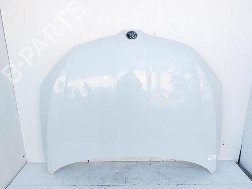 Used Hood SKODA OCTAVIA III Combi (5E5, 5E6) 1.6 TDI (115 hp) 30898800