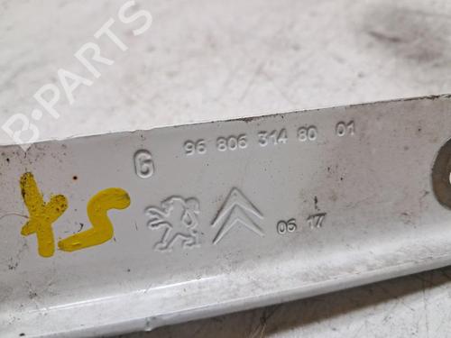Hinge/Door check strap PEUGEOT PARTNER Box Body/MPV 1.6 BlueHDi 100 | BP31272708C146 