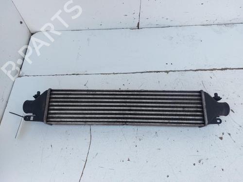 Intercooler FIAT DOBLO Cargo (263_) 2.0 D Multijet | BP33168233M30 - Image 4