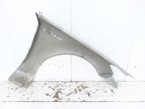 Left front fenders FORD MONDEO IV (BA7) 2.0 TDCi | BP23189954C41 