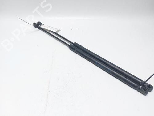 Used Tailgate lift support FORD FIESTA VI (CB1, CCN) 1.25 (60 hp) 30531131