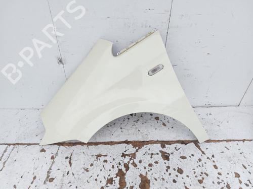 Used Left front fenders LANCIA MUSA (350_) 1.3 D Multijet (350.AXG11, 350.AXG1A) (90 hp) 29607134