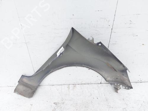 Left front fenders FORD FIESTA VI (CB1, CCN) 1.4 TDCi | BP26901160C41 