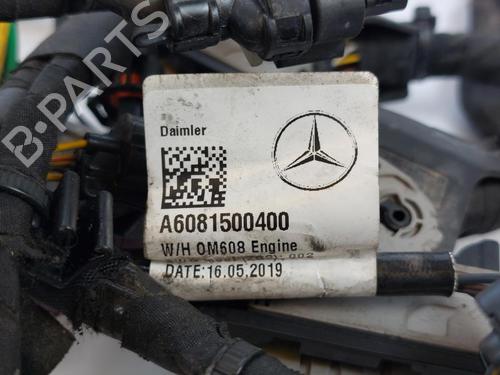 Wiring harness MERCEDES-BENZ A-CLASS (W177) A 180 d (177.003) | BP18947018E16