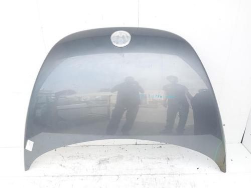 Used Hood VW NEW BEETLE (9C1, 1C1) 1.9 TDI (101 hp) 24540162