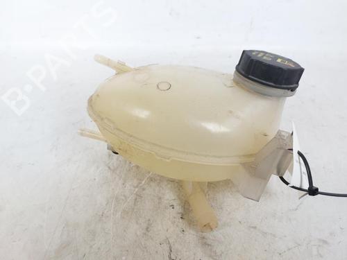 Used Expansion tank FORD FIESTA VII Van 1.5 TDCi (86 hp) 19706177