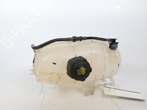 Used Expansion tank RENAULT TRAFIC III Van (FG_) 2.0 dCi 145 (FGML) (145 hp) 16029902