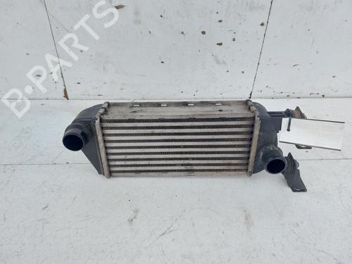 Used Intercooler LANCIA YPSILON (312_) 0.9 CNG (312.YXG1A) (86 hp) 30505775