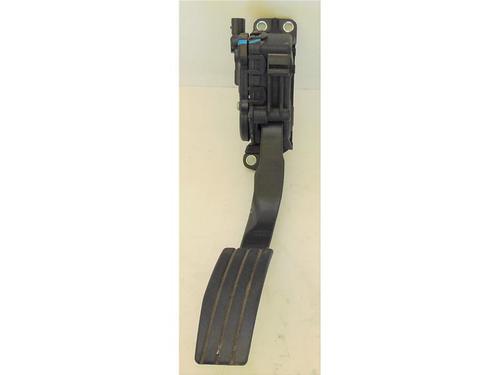 Pedal RENAULT TWINGO II (CN0_) 1.2 (CN0D) (58 hp) 15141582
