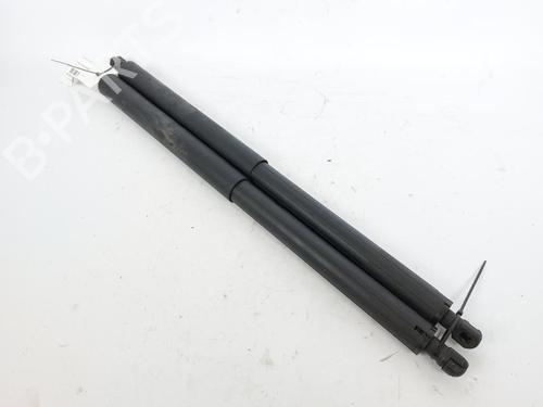 Tailgate lift support BMW X1 (F48) sDrive 16 d | BP17554469C138 