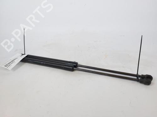 Tailgate lift support DACIA SANDERO II 1.0 LPG (B8ML) | BP17206066C138 