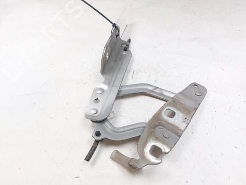 Hinge/Door check strap FORD FIESTA VI (CB1, CCN) 1.25 | BP28529204C146 