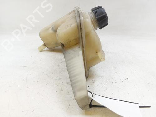 Expansion tank NISSAN JUKE (F15) 1.5 dCi | BP29390695C120 