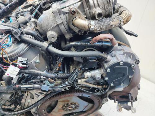 Engine VW TOUAREG (7LA, 7L6, 7L7) 5.0 V10 TDI | BP15169004M1