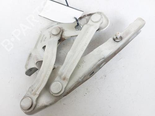 Used Hinge/Door check strap AUDI A1 (8X1, 8XK) 1.6 TDI (105 hp) 22251167