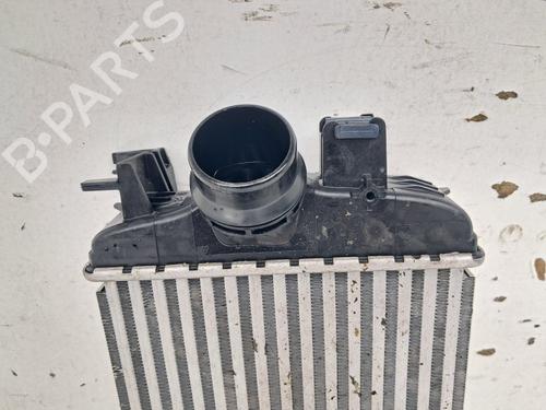 Intercooler RENAULT CLIO V (B7_) 1.0 TCe 90 (B7MT) | BP39911432M30 - Image 2