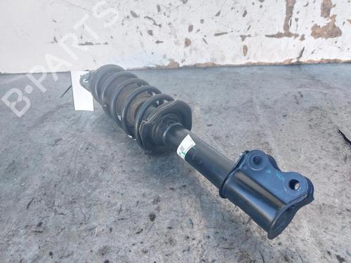 Left front shock absorber DACIA SPRING EV (B6M1) | BP30455023M16