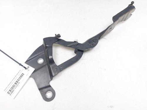 Hinge/Door check strap BMW X1 (E84) xDrive 20 d | BP24735783C146 - Image 2