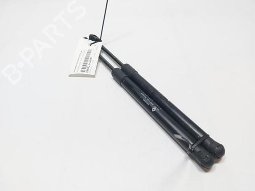Tailgate lift support DACIA SPRING EV (B6M1) | BP30455042C138 - Image 2