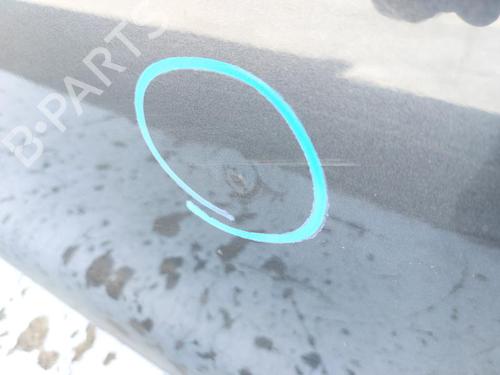 Left front door SEAT ALTEA (5P1) 1.9 TDI | BP29056295C2 