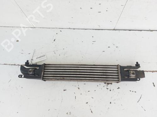 Intercooler OPEL CORSA D (S07) 1.3 CDTI (L08, L68) | BP23881121M30 - Image 2
