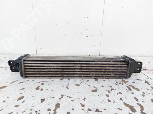 Intercooler CHEVROLET CAPTIVA (C100, C140) 2.0 D | BP18740624M30 