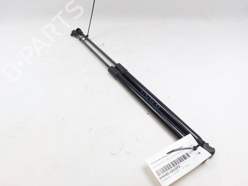 Used Tailgate lift support VW POLO (9N_, 9A_) 1.4 TDI (75 hp) 28162429
