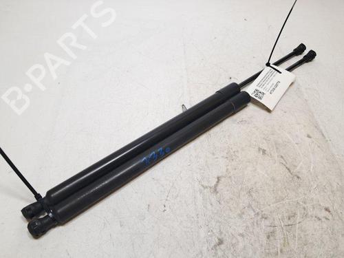Used Tailgate lift support Tailgate lift support RENAULT MODUS / GRAND MODUS (F/JP0_) 1.2 (JP0C, JP0K, FP0C, FP0K, FP0P, JP0P, JP0T) (75 hp) 34418124 34418124