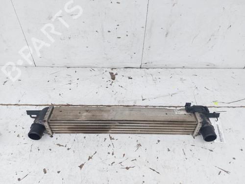 Intercooler FIAT FIORINO Box Body/MPV (225_) 1.3 D Multijet (225BXD1A, 225BXB1A, 225BXB11) (75 hp) 19445174