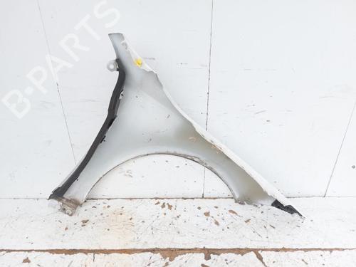 Left front fenders MERCEDES-BENZ A-CLASS (W177) A 220 4-matic (177.045) | BP29238426C41 