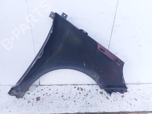 Left front fenders RENAULT SCÉNIC III (JZ0/1_) 1.6 dCi (JZ00, JZ12) | BP29523054C41 