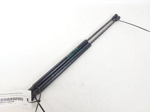 Used Tailgate lift support FIAT 500 (312_) 1.0 Mild Hybrid (312.AYD1B) (69 hp) 25433912