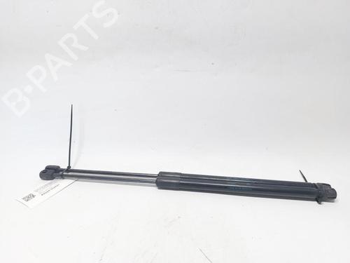 Used Tailgate lift support AUDI A3 Sportback (8PA) 1.6 TDI (105 hp) 31241210
