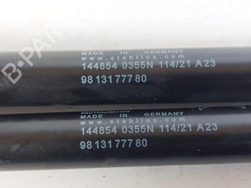 Tailgate lift support PEUGEOT 208 I (CA_, CC_) 1.5 BlueHDI 100 | BP21603277C138