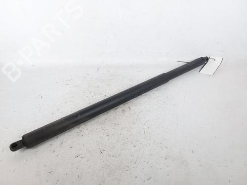 Tailgate lift support MERCEDES-BENZ GLC Coupe (C253) 300 de 4-matic (253.311) | BP21123415C138 