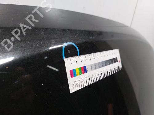 Hood DACIA DUSTER (HS_) 1.5 dCi | BP30802425C1