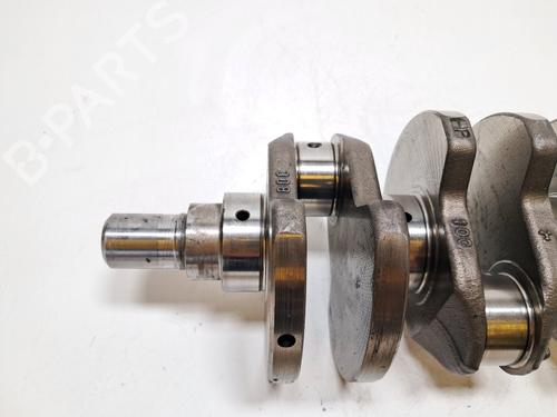 Other FIAT PANDA (169_) 1.3 D Multijet 4x4 (169.AXC2A) | BP39492309O1 - Image 2