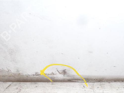 Right rear door FIAT DOBLO Box Body/MPV (223_) 1.2 (223ZXA1A) | BP15140362C5 