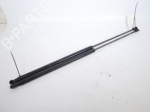 Used Tailgate lift support NISSAN JUKE (F15) 1.5 dCi (110 hp) 15158112