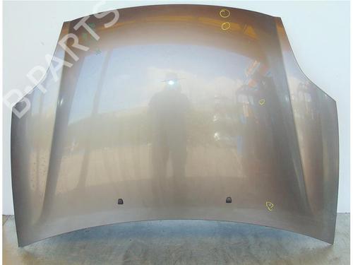 Used Hood FIAT BRAVO II (198_) 1.6 D Multijet (198AXL1B) (120 hp) 15141604