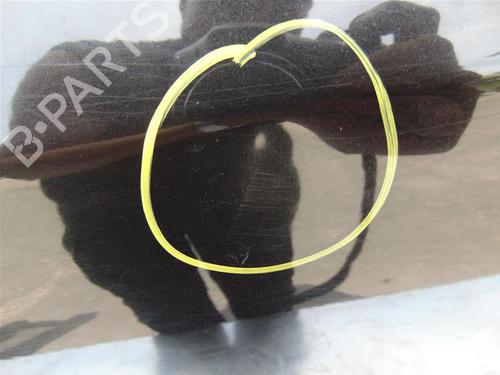 Left rear door RENAULT MEGANE III Hatchback (BZ0/1_, B3_) 1.5 dCi (BZ09, BZ0D, BZ1W, BZ29, BZ14) | BP15141252C4 